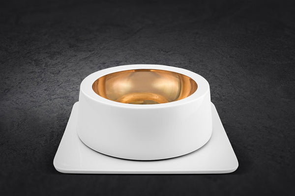Exklusive GOLD Edition L mit Unterplatte L
